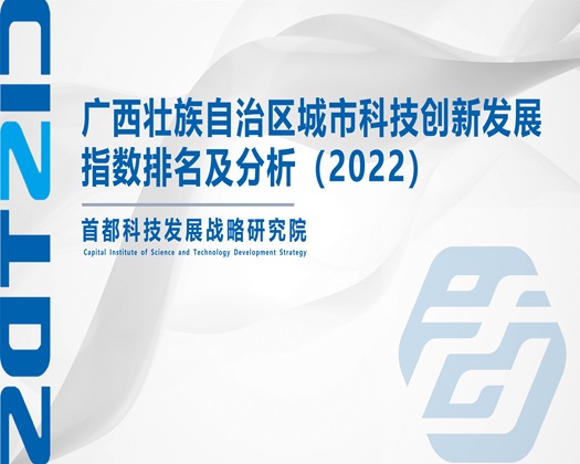 美女被艹爆啊啊啊【成果发布】广西壮族自治区城市科技创新发展指数排名及分析（2022）